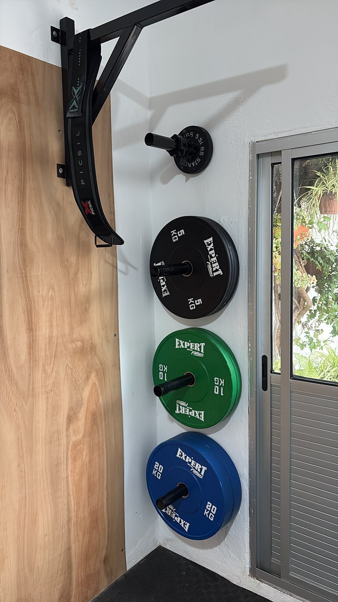 Discos bumper de 5, 10 y 20 kg ordenados en la pared junto a la ventana.